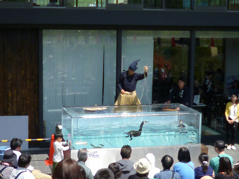 【GWイベント】鵜飼の実演