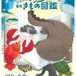 【特別展示】長良川いきもの図鑑