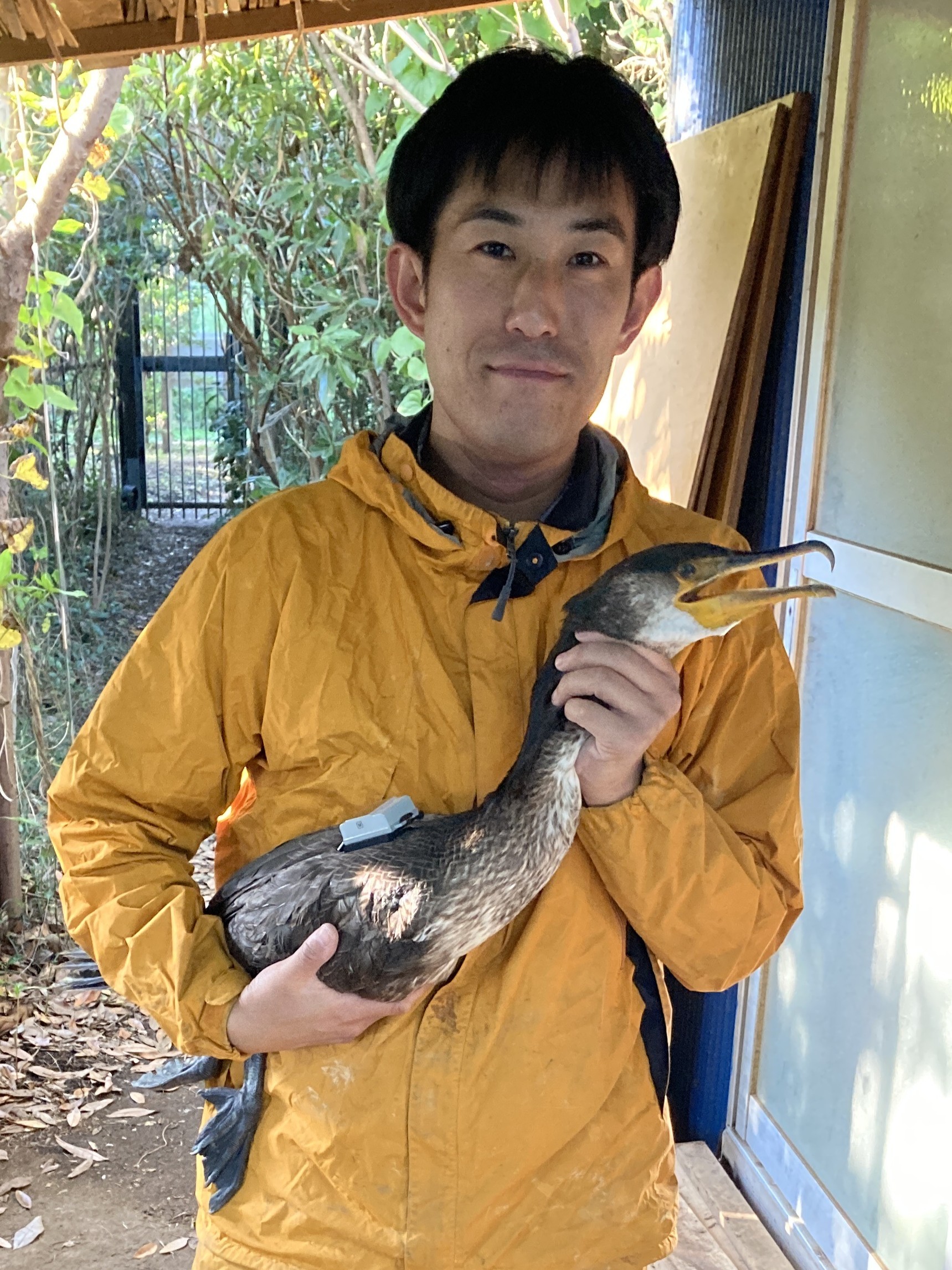 市民講座「すごいぞ！野生のウミウの渡り」