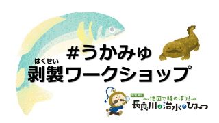 うかみゅ剥製ワークショップ | うかいミュージアム