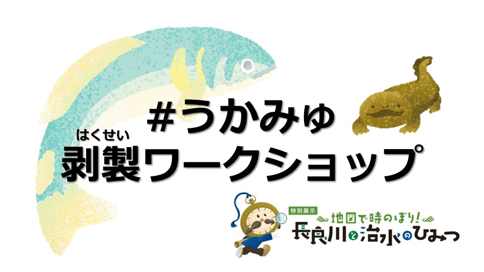 #うかみゅ剥製ワークショップ